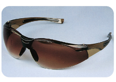 SAFETY TOOLS-DT6015-GA006 SAFETY GOGGLE