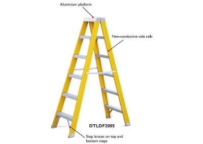 LADDERS-DTLDF2005