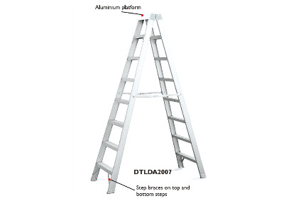 LADDERS-DTLDA2007