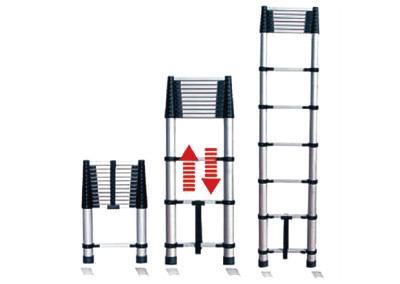 LADDERS-DTLS1006