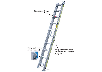 LADDERS-DTLZ2308