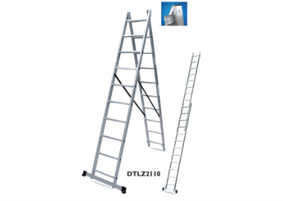 LADDERS-DTLZ2106