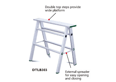 LADDERS-DTLB303