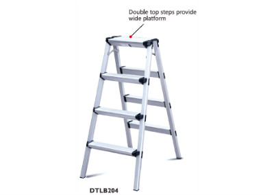 LADDERS-DTLB202